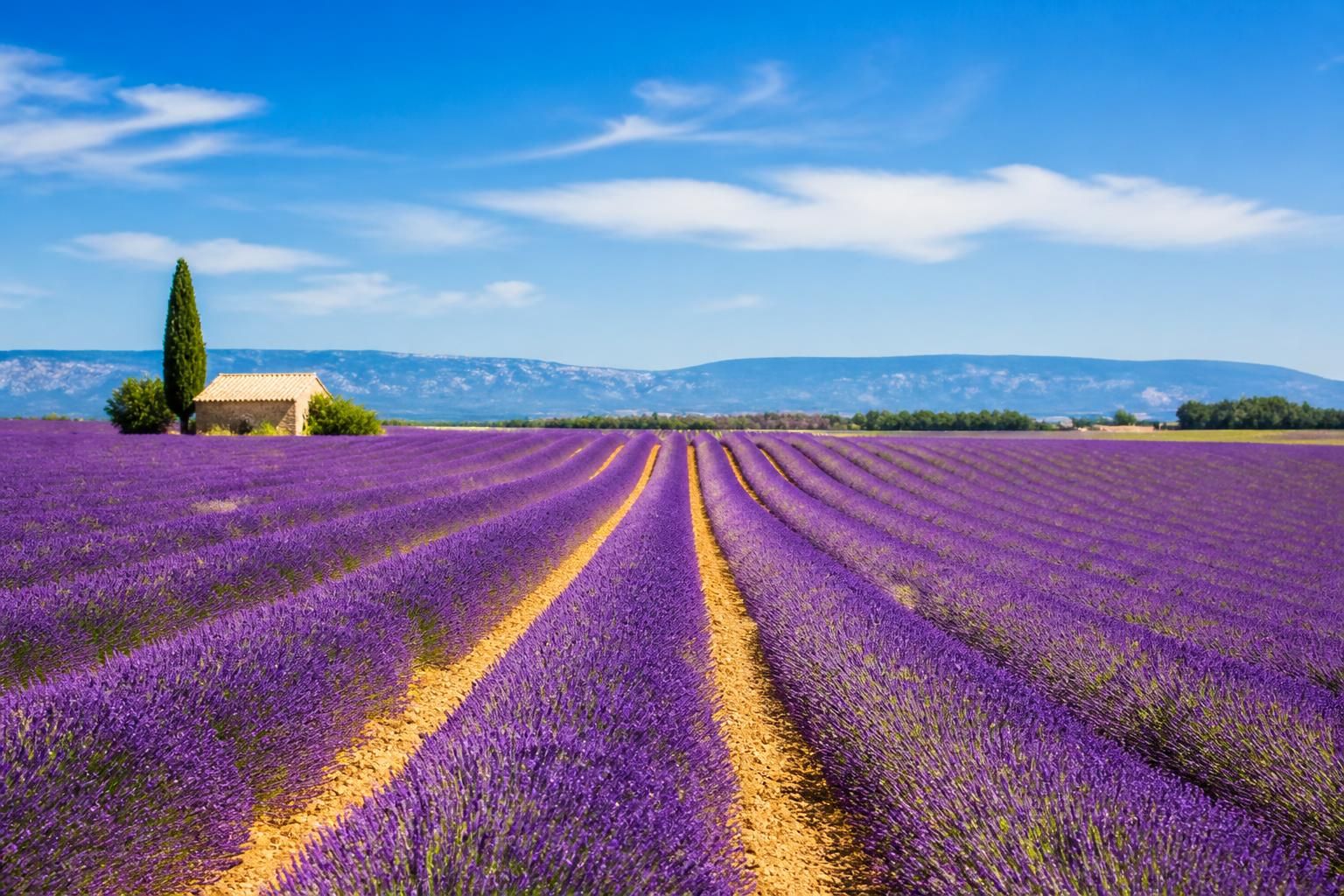 découvrez pourquoi le camping à valensole, au cœur de la provence, attire les amateurs de nature et d'authenticité grâce à ses paysages préservés, son ambiance chaleureuse et ses activités en plein air.