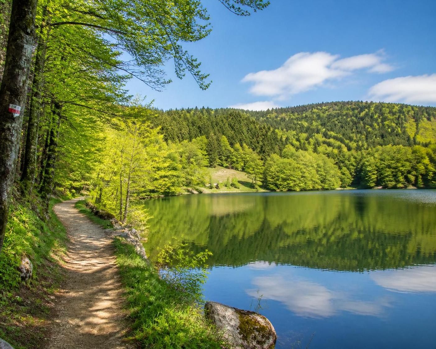 découvrez les meilleures destinations de camping dans le grand est pour des vacances inoubliables en pleine nature, entre confort et activités variées.